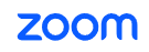 Zoom Logo